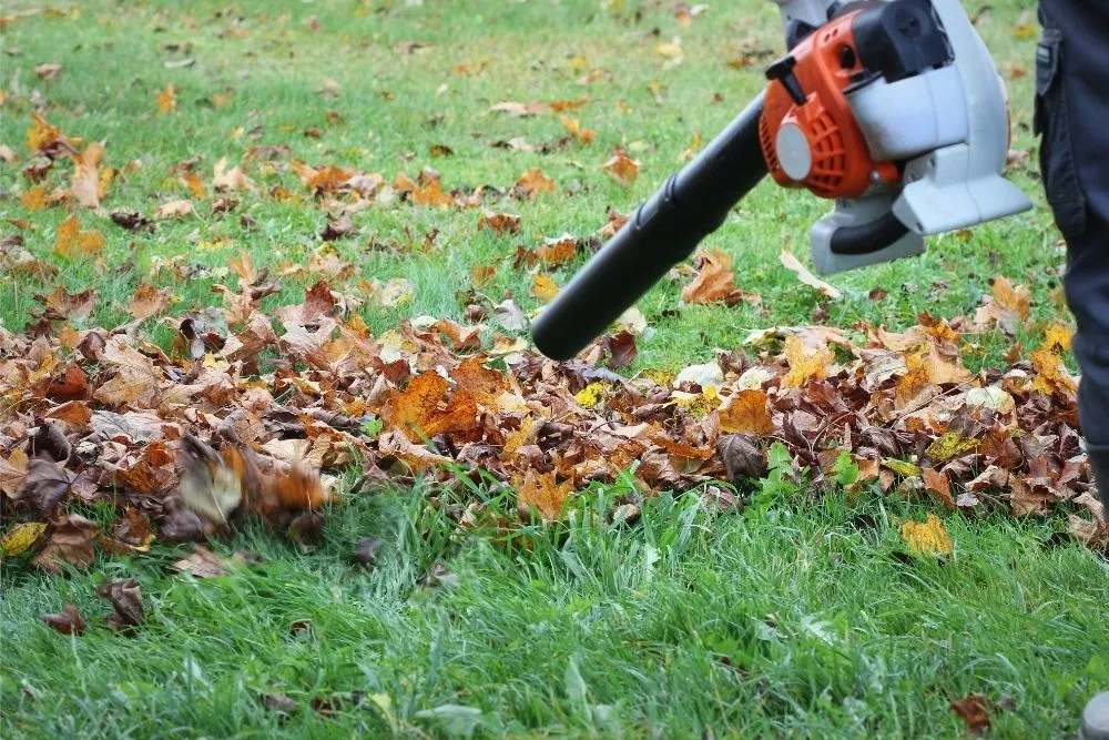 Service de jardinage Edenad avec soufflage et &eacute;vacuation des feuilles dans un jardin.