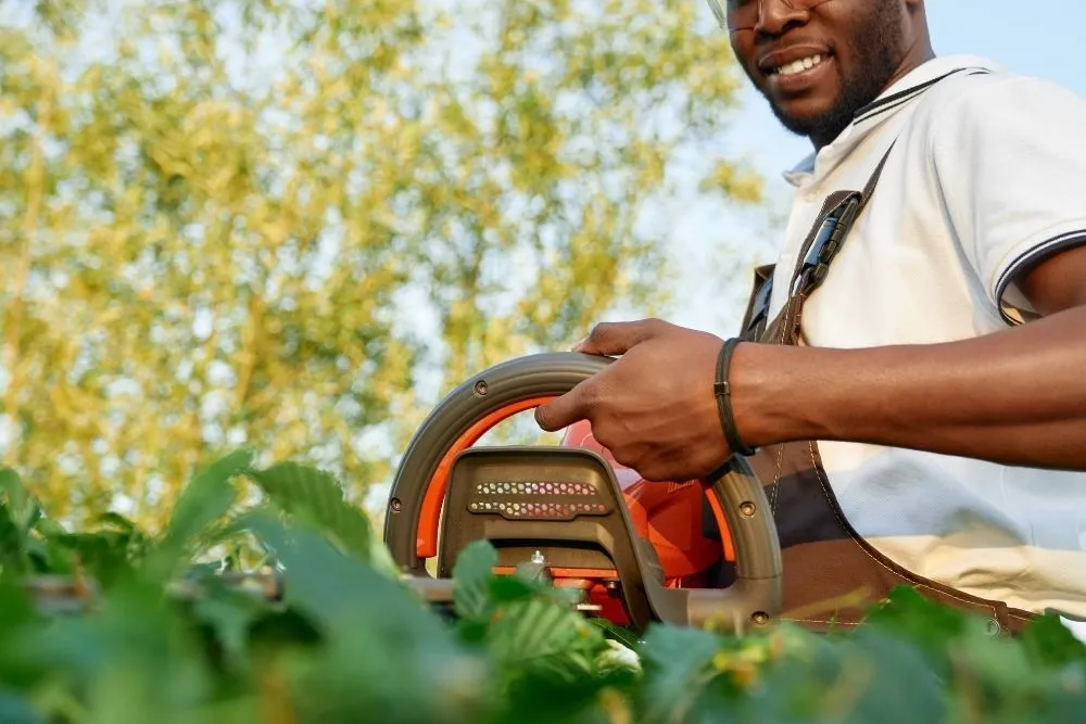 Taille de haies avec taille-haie r&eacute;alis&eacute;e par un jardinier dans le cadre d&rsquo;un service de jardinage Edenad en outre-mer.