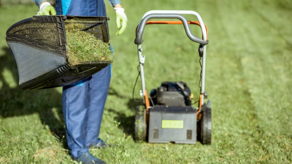 Tonte de pelouse avec ramassage de l’herbe dans le cadre d’un service de jardinage en outre-mer.