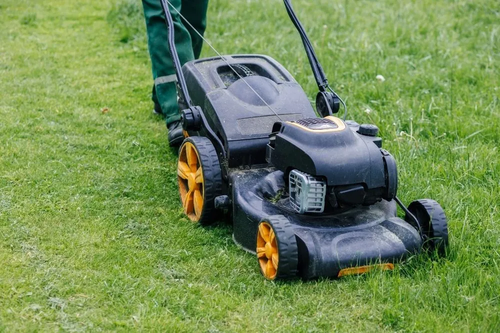 Tonte de pelouse avec tondeuse dans un jardin r&eacute;alis&eacute;e par un service de jardinage Edenad en outre-mer.